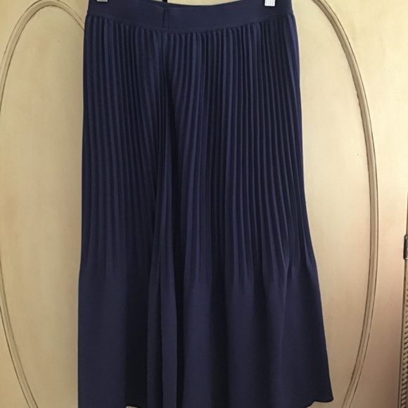 NWOT J Crew Pleated Skirt Fully Lined - Picture 3 of 4